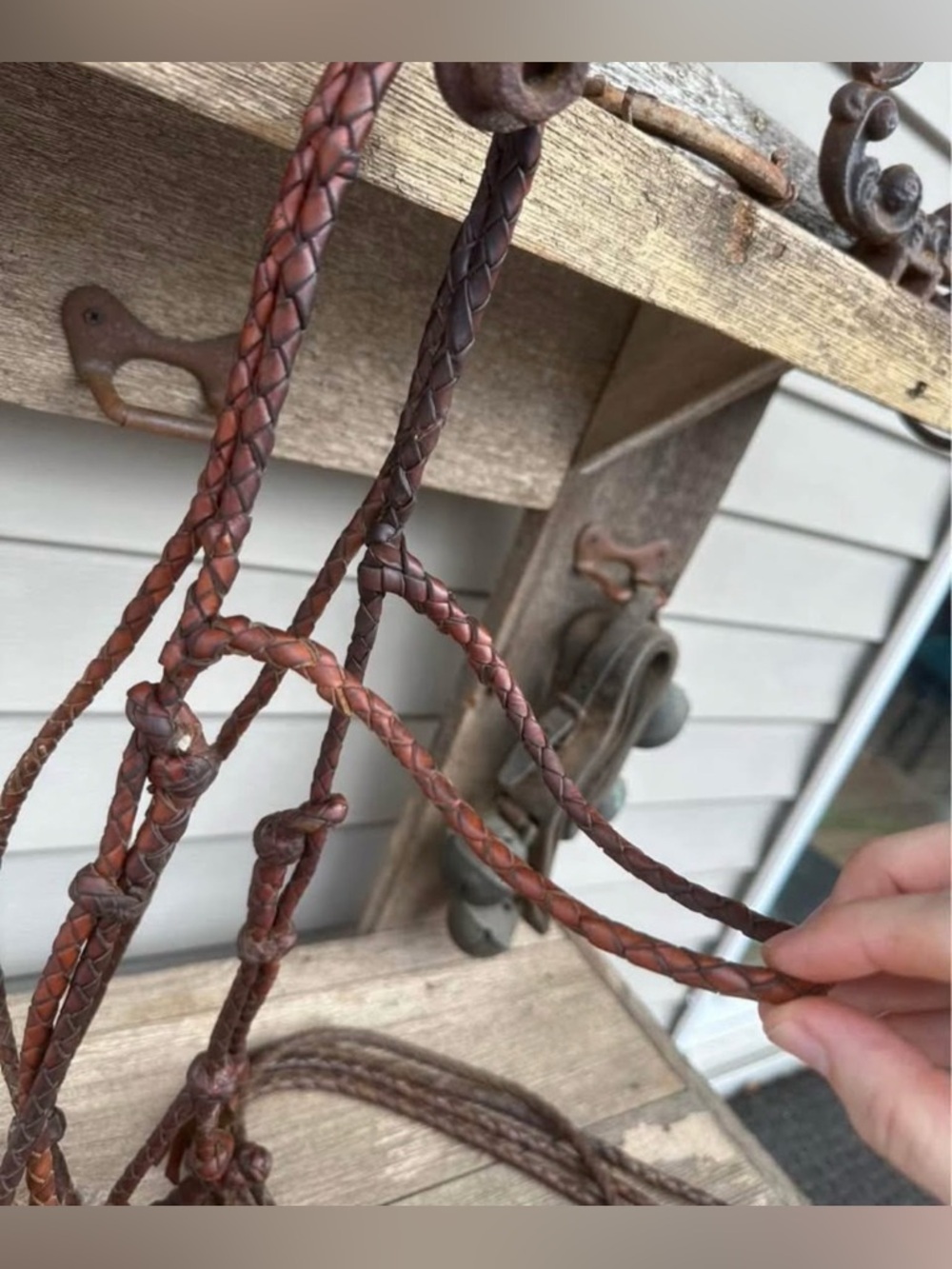 Horse Tack - Hand braided leather headstall with matching split reins - Picture 7 of 9